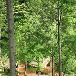 Saecula Natural Village Experience