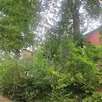 Saecula Natural Village Experience Force