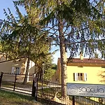 Saecula Natural Village Experience Force
