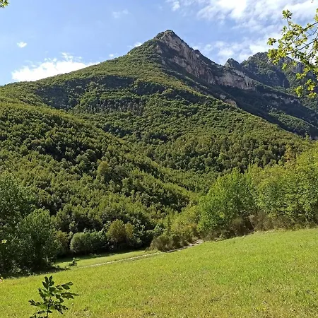 Saecula Natural Village Experience * Force