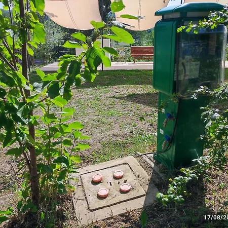 Campingplads Saecula Natural Village Experience