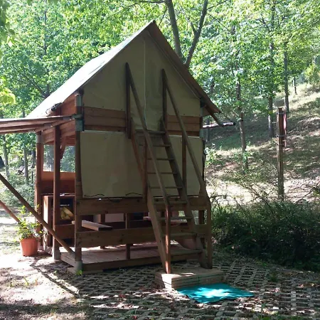 Saecula Natural Village Experience * Force