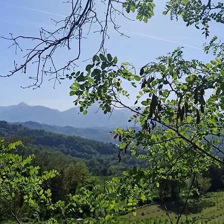 Saecula Natural Village Experience Parque de Campismo