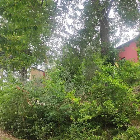 Saecula Natural Village Experience Force