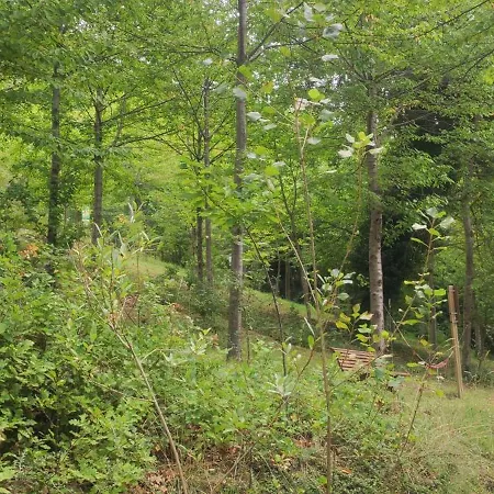 Saecula Natural Village Experience Force