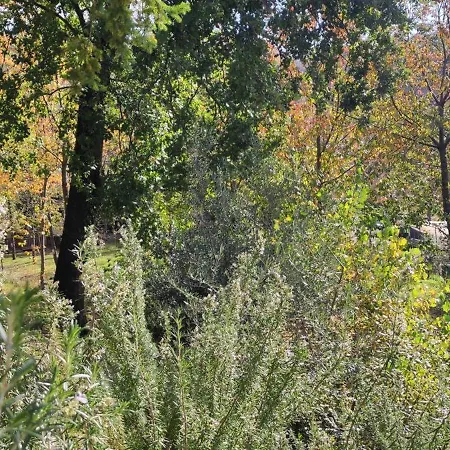 Parque de Campismo Saecula Natural Village Experience