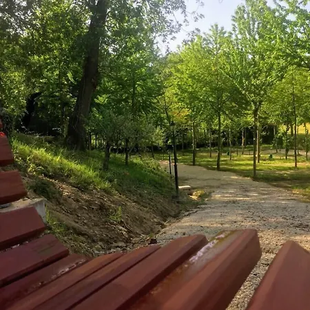 Saecula Natural Village Experience Camping