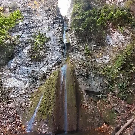 Saecula Natural Village Experience *