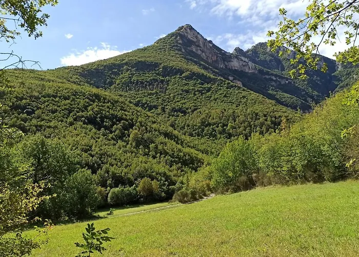 Saecula Natural Village Experience * Force