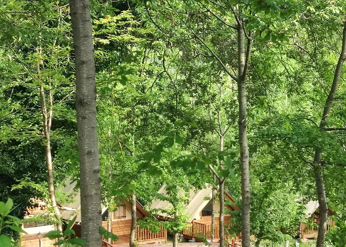 Saecula Natural Village Experience