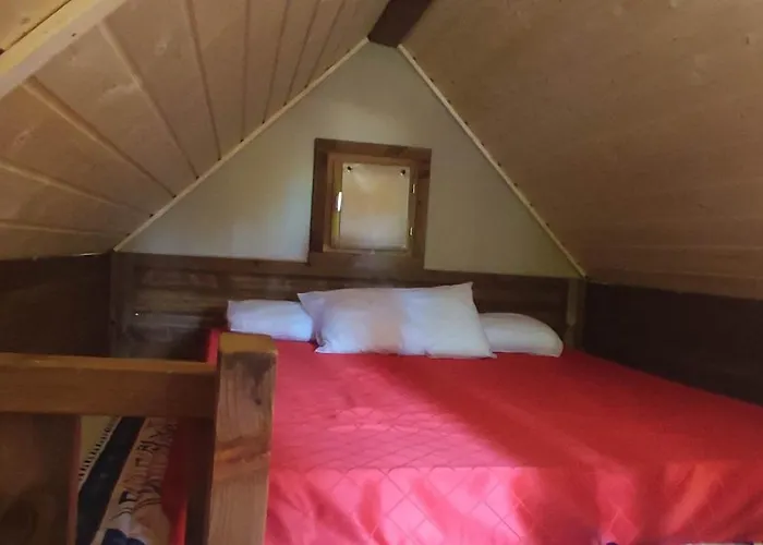 Κάμπινγκ Saecula Natural Village Experience