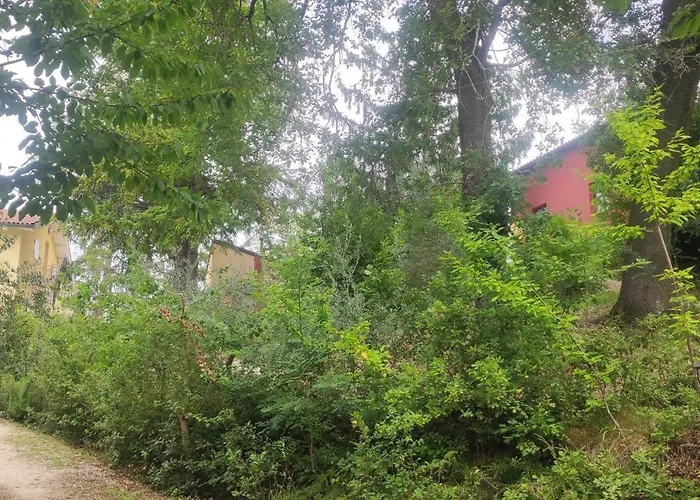 Saecula Natural Village Experience Force