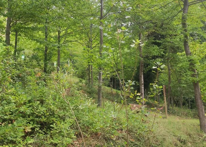 Saecula Natural Village Experience Force