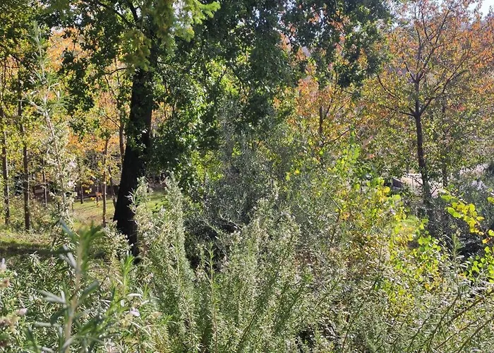 Κάμπινγκ Saecula Natural Village Experience